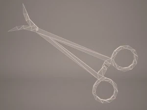 bra&ccedil;adeira de m&eacute;dicos Modelo 3D