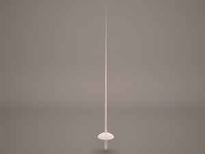 rapiers Model 3D
