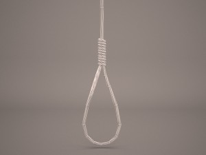 noose Model 3D