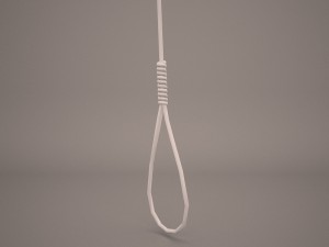 noose Model 3D