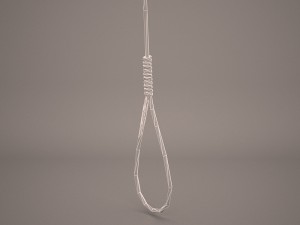 noose Model 3D