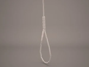 noose 3D Model