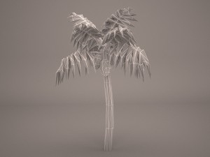 palm tree Modelo 3D