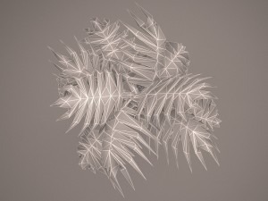palm tree Modelo 3D