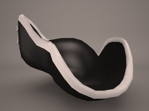 pirate hat 3D 모델