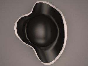 pirate hat 3D 모델