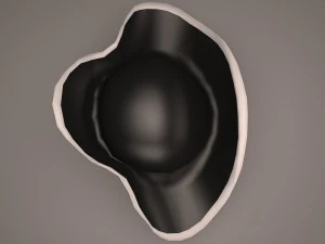 pirate hat 3D Model