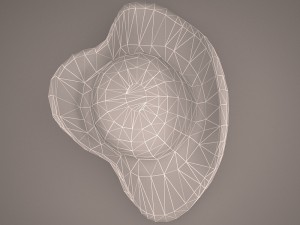 pirate hat 3D 모델