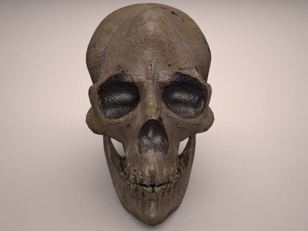 skull 3D-Modell .c4d .max .obj .3ds .fbx .stl .blend 