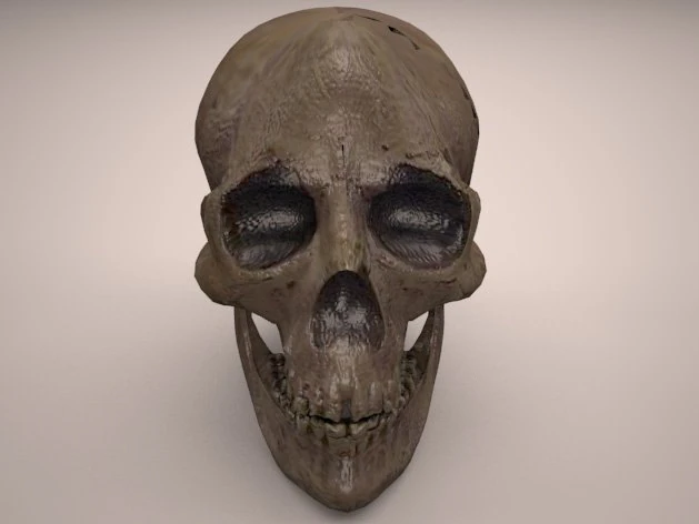 skull 3D Model .c4d .max .obj .3ds .fbx .stl .blend 