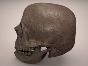 skull 3D-Modell
