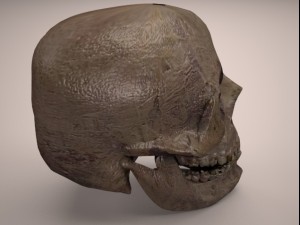 skull 3D-Modell