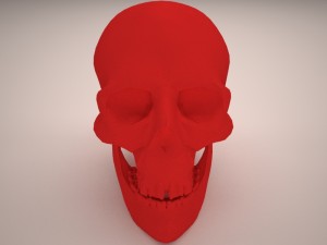 skull 3D-Modell