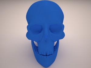 skull 3D-Modell