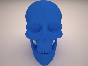 skull 3D Model