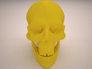 skull 3D-Modell