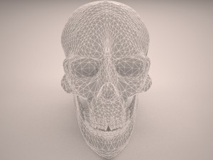 skull 3D-Modell