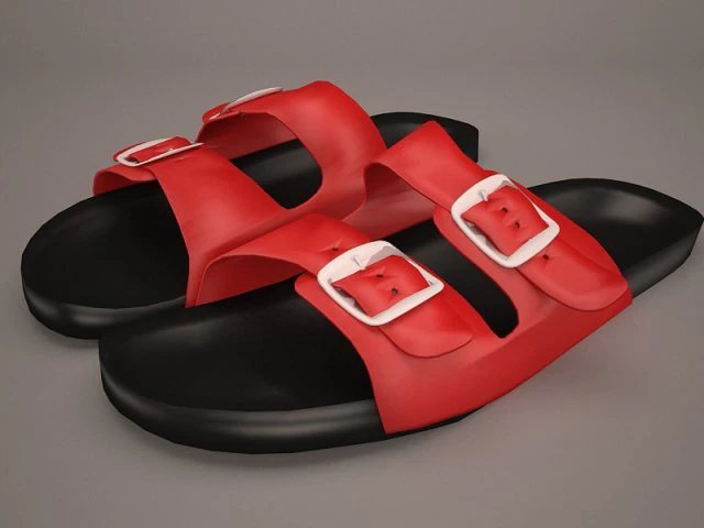 slipper 3D Model .c4d .max .obj .3ds .fbx .stl .blend 