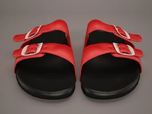 slipper 3D Model