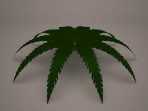 fern tree 3D Модель