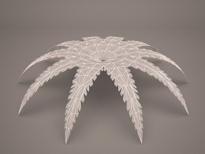 fern tree 3D Модель