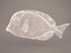 blue tang fish 3D Model
