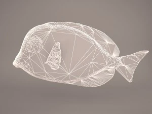 blue tang fish 3D Model