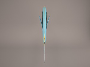 blue tang fish 3D Model