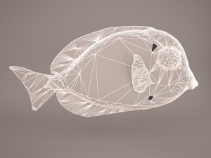 blue tang fish 3D Model
