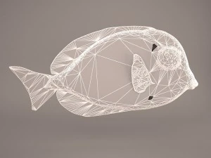 blue tang fish 3D Model