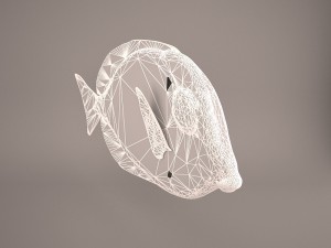 blue tang fish 3D Model