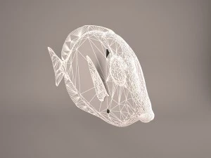 blue tang fish 3D Model