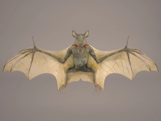vampire bat 3D Model .c4d .max .obj .3ds .fbx .stl .blend 