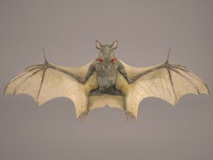 vampire bat 3D Model