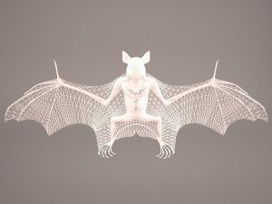 vampire bat Modelo 3D