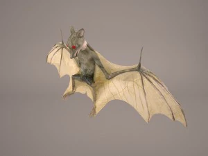 vampire bat 3D Model