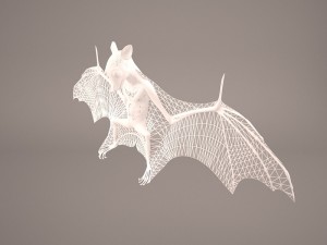 vampire bat Modelo 3D
