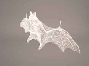 vampire bat 3D Model