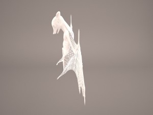 vampire bat Modelo 3D