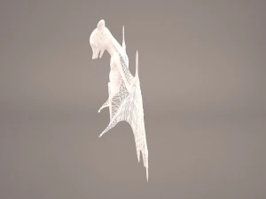vampire bat 3D Model