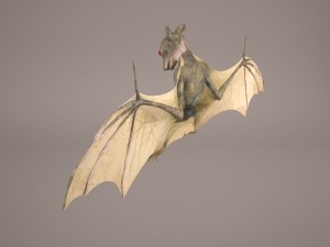 vampire bat Modelo 3D
