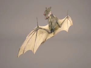 vampire bat 3D Model