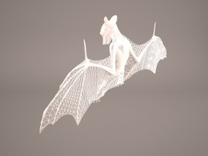 vampire bat Modelo 3D