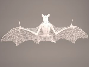 vampire bat 3D Model