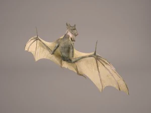 vampire bat 3D Model
