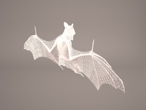 vampire bat Modelo 3D