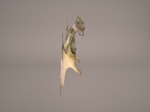 vampire bat Modelo 3D