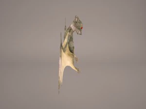 vampire bat 3D Model