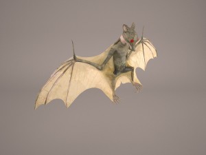 vampire bat Modelo 3D