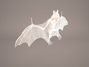 vampire bat Modelo 3D